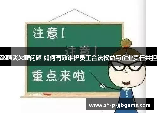 赵鹏谈欠薪问题 如何有效维护员工合法权益与企业责任共担
