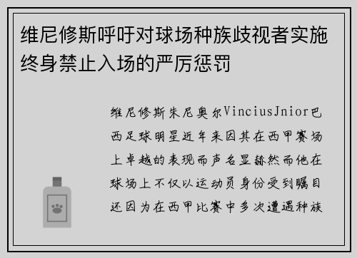 维尼修斯呼吁对球场种族歧视者实施终身禁止入场的严厉惩罚